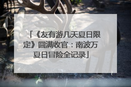 《友有游几天夏日限定》圆满收官：南波万夏日冒险全记录