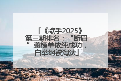 《歌手2025》第三期排名：“断眉”袭榜单依纯成功，白举纲被淘汰
