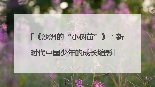 《沙洲的“小树苗”》：新时代中国少年的成长缩影