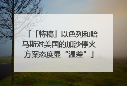 「特稿」以色列和哈马斯对美国的加沙停火方案态度显“温差”