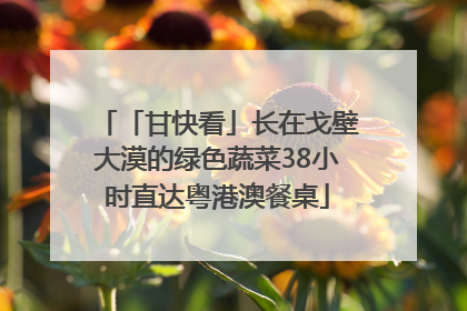 「甘快看」长在戈壁大漠的绿色蔬菜38小时直达粤港澳餐桌