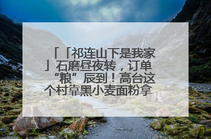 「祁连山下是我家」石磨昼夜转，订单“粮”辰到！高台这个村靠黑小麦面粉拿下成立来最大订单