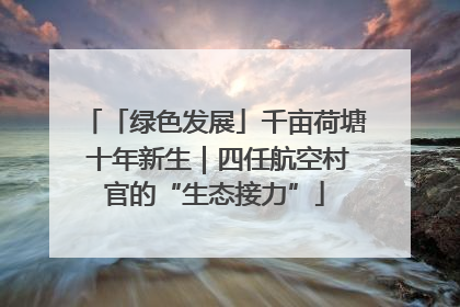 「绿色发展」千亩荷塘 十年新生｜四任航空村官的“生态接力”