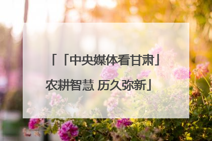 「中央媒体看甘肃」农耕智慧 历久弥新