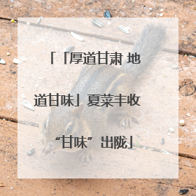 「厚道甘肃 地道甘味」夏菜丰收 “甘味”出陇