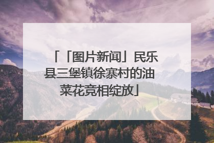 「图片新闻」民乐县三堡镇徐寨村的油菜花竞相绽放