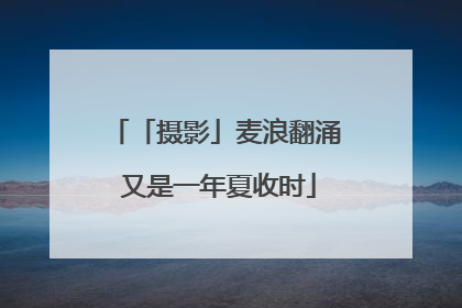 「摄影」麦浪翻涌 又是一年夏收时