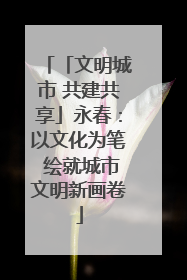「文明城市 共建共享」永春：以文化为笔 绘就城市文明新画卷