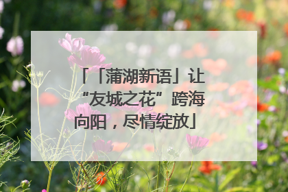 「蒲湖新语」让“友城之花”跨海向阳，尽情绽放