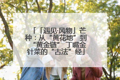 「遇见·风物」芒种：从“黄花地”到“黄金链” 丁嘴金针菜的“古法”经