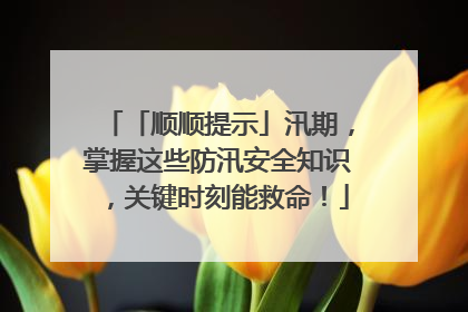 「顺顺提示」汛期，掌握这些防汛安全知识，关键时刻能救命！