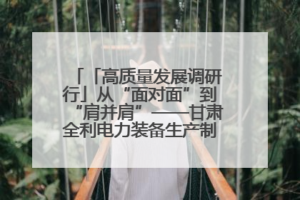 「高质量发展调研行」从“面对面”到“肩并肩”——甘肃全利电力装备生产制造项目一线见闻
