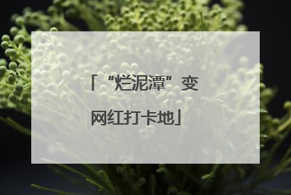 “烂泥潭”变网红打卡地
