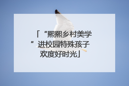 “熙熙乡村美学”进校园特殊孩子欢度好时光