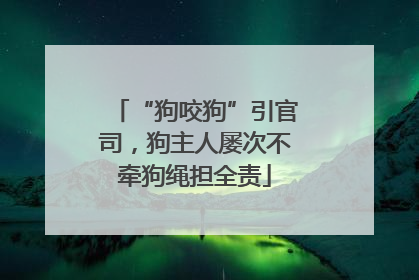 “狗咬狗”引官司，狗主人屡次不牵狗绳担全责