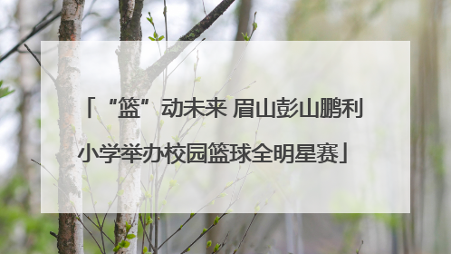 “篮”动未来 眉山彭山鹏利小学举办校园篮球全明星赛