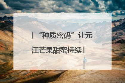 “种质密码”让元江芒果甜蜜持续
