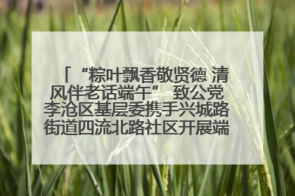 “粽叶飘香敬贤德 清风伴老话端午” 致公党李沧区基层委携手兴城路街道四流北路社区开展端午节主题活动