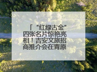 “红绿古金”四张名片惊艳亮相！吉安文旅招商推介会在青原区举行(图)
