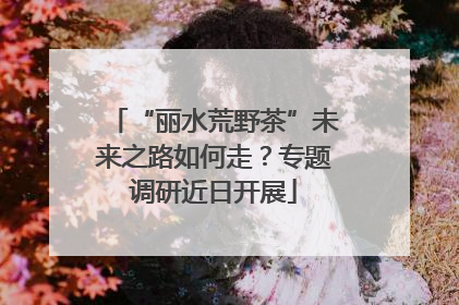 “丽水荒野茶”未来之路如何走？专题调研近日开展