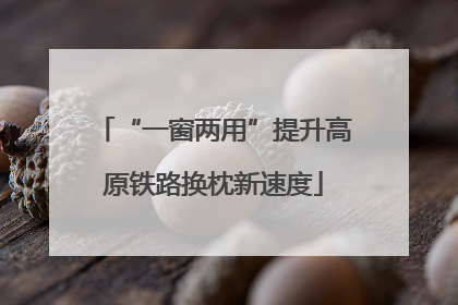 “一窗两用”提升高原铁路换枕新速度