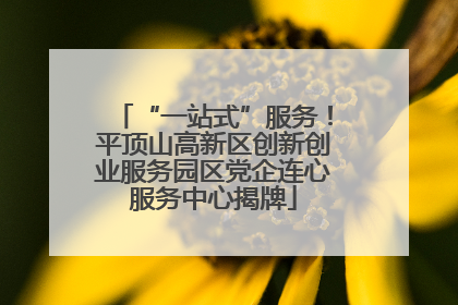 “一站式”服务！平顶山高新区创新创业服务园区党企连心服务中心揭牌