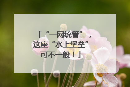 “一网统管”，这座“水上堡垒”可不一般！