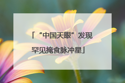 “中国天眼”发现罕见掩食脉冲星