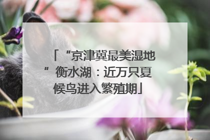 “京津冀最美湿地”衡水湖：近万只夏候鸟进入繁殖期