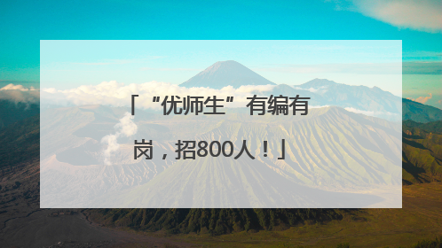 “优师生”有编有岗，招800人！