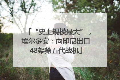 “史上规模最大”，埃尔多安：向印尼出口48架第五代战机