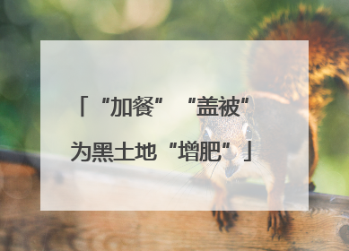 “加餐”“盖被” 为黑土地“增肥”