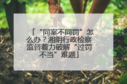 “同案不同罚”怎么办？湘阴行政检察监督着力破解“过罚不当”难题