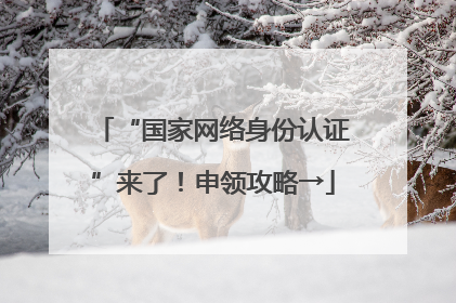 “国家网络身份认证”来了！申领攻略→