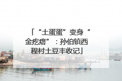 “土蛋蛋”变身“金疙瘩”：孙伯镇西程村土豆丰收记