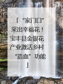 “家门口”采出幸福花！宝丰县金银花产业激活乡村“造血”功能