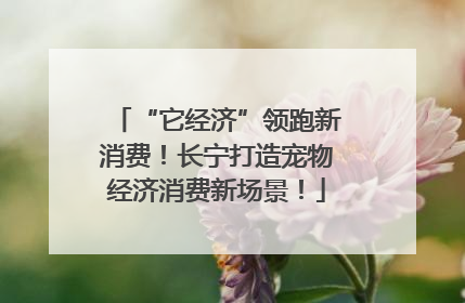 “它经济”领跑新消费！长宁打造宠物经济消费新场景！