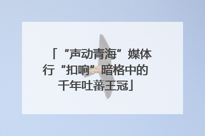 “声动青海”媒体行“扣响”暗格中的千年吐蕃王冠