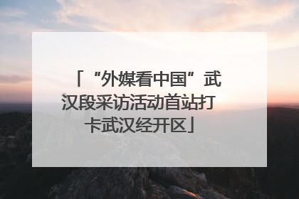 “外媒看中国”武汉段采访活动首站打卡武汉经开区