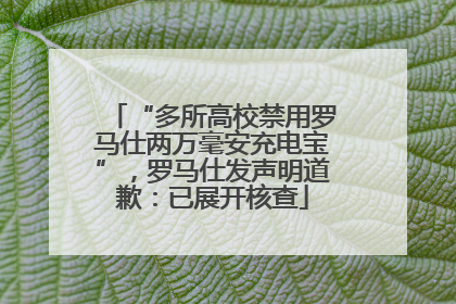 “多所高校禁用罗马仕两万毫安充电宝”，罗马仕发声明道歉：已展开核查