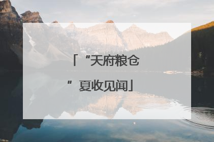 “天府粮仓”夏收见闻