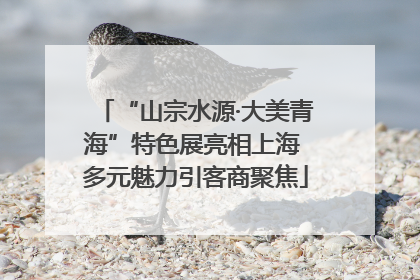 “山宗水源·大美青海”特色展亮相上海 多元魅力引客商聚焦