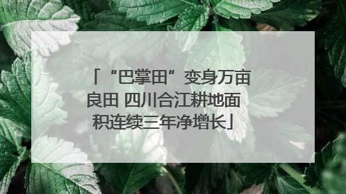 “巴掌田”变身万亩良田 四川合江耕地面积连续三年净增长