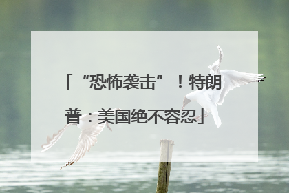 “恐怖袭击”！特朗普：美国绝不容忍