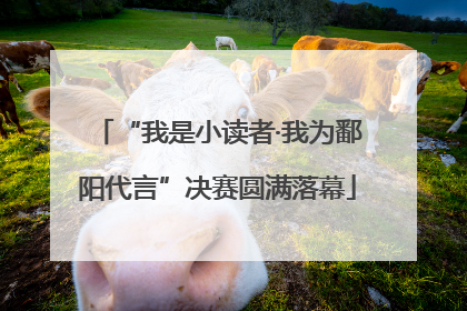 “我是小读者·我为鄱阳代言”决赛圆满落幕