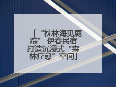 “枕林海见鹿踪” 伊春民宿打造沉浸式“森林疗愈”空间