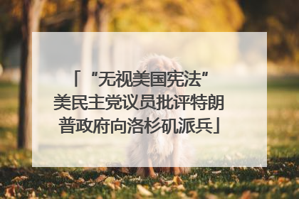 “无视美国宪法” 美民主党议员批评特朗普政府向洛杉矶派兵