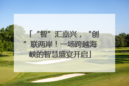 “智”汇嘉兴，“创”联两岸！一场跨越海峡的智慧盛宴开启