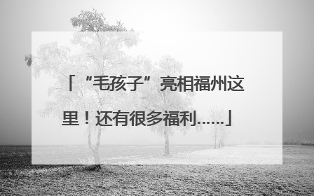“毛孩子”亮相福州这里！还有很多福利……