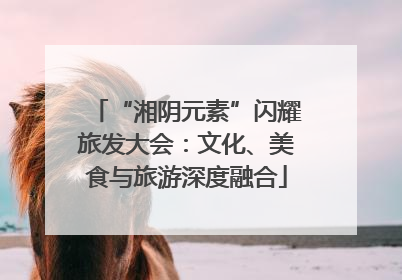“湘阴元素”闪耀旅发大会：文化、美食与旅游深度融合